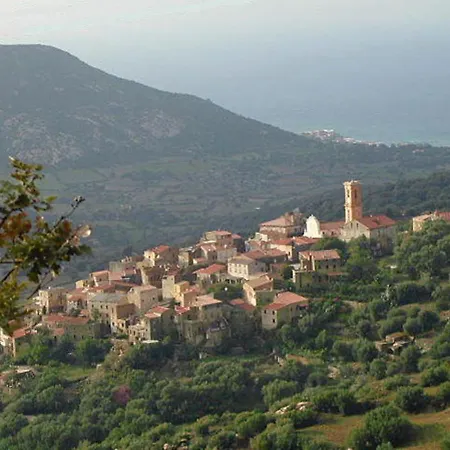 Mini Villa Climatisee - Vue Mer - Mer A 50 M - Jardin Et 2 Terrasses 300 M2 Lumio  Exterior foto