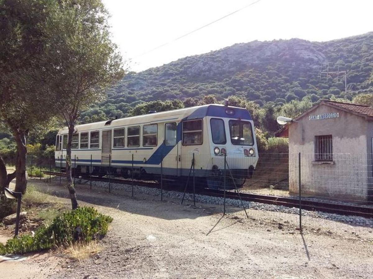 Mini Climatisee - Vue - A 50 M - Jardin Et 2 Terrasses 300 M2 * Lumio (Corsica)